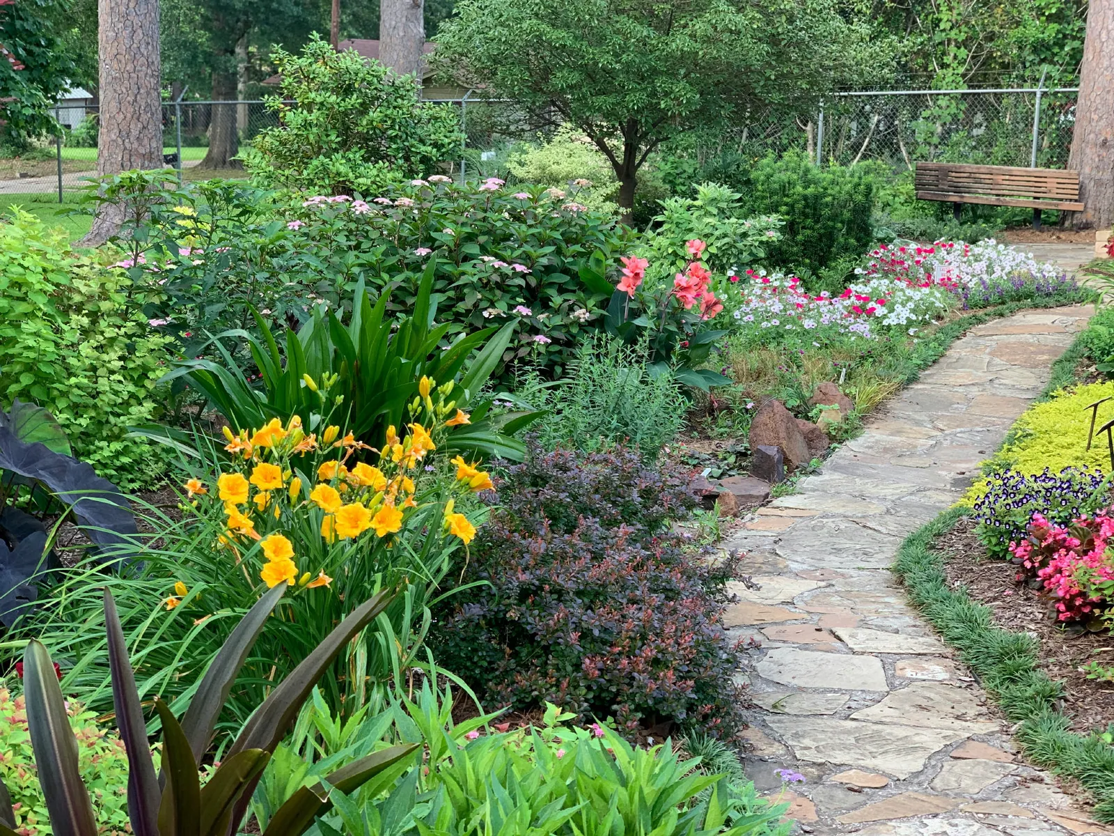 Garden beds, kept sharp