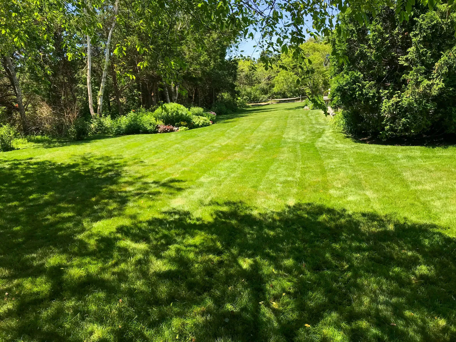 Fresh-cut lawn & garden